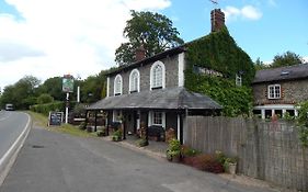 The Ivy House